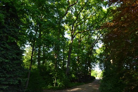 Moorschwärmerei - Zufahrt