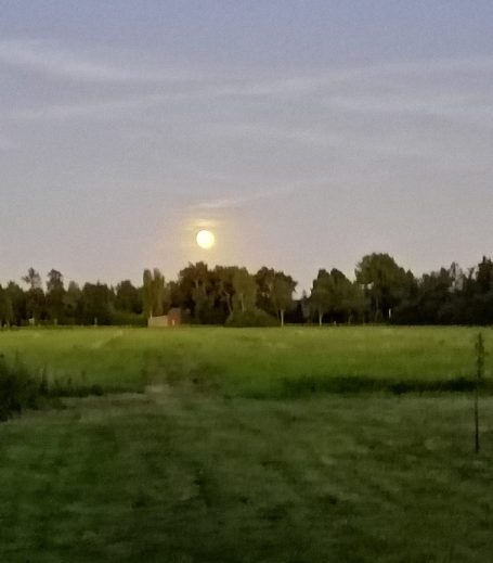 Moorschwärmerei - Abends