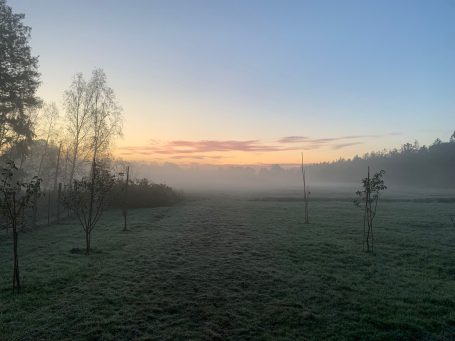 Moorschwärmerei - Morgens