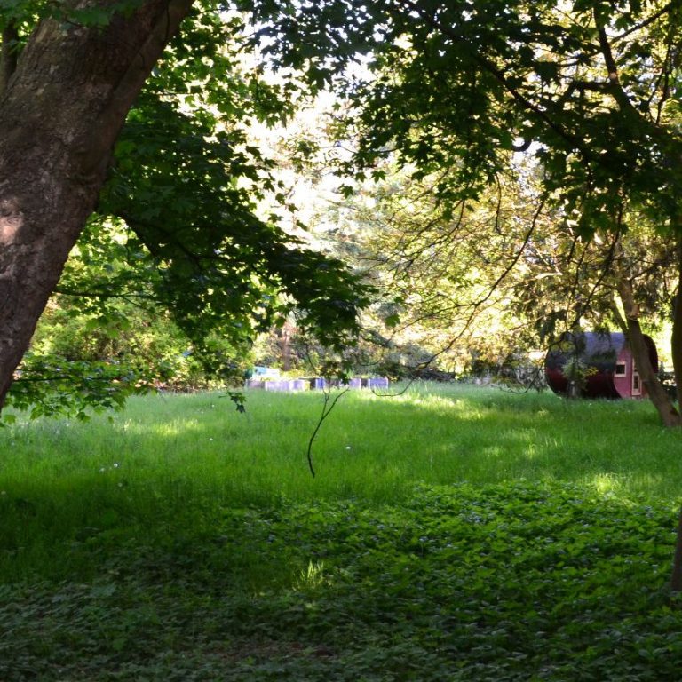 Moorschwärmerei - Zugang als Seitenansicht